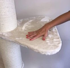 Step 55×55 Cm Cream