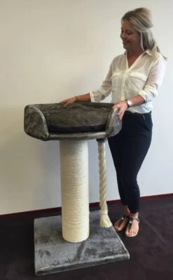 Krabpaal Chartreux Taupe