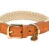 Halsband Hond Tau Lichtbruin 40cmx25mm S -Savic Winkel p11505 vad 15714 halsband hond tau lichtbruin 40cmx25mm s 1