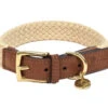 Halsband Hond Tau Donkerbruin 60cmx25mm XXL -Savic Winkel p11509 vad 15711 halsband hond tau donkerbruin 60cmx25mm xxl 1