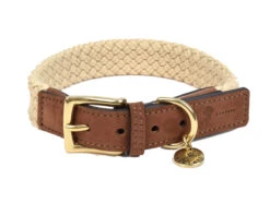 Halsband Hond Tau Donkerbruin 60cmx25mm XXL