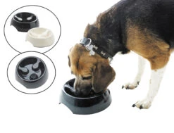 Savic Eetpot Slow Down 1 15x6cm/0,4L ASS