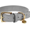 Halsband Hond Nubu Grijs 60cmx40mm XXL -Savic Winkel p11880 vad 15787 halsband hond nubu grijs 60cmx40mm xxl 1