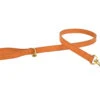 Leiband Hond Nubu Lichtbruin 120cmx25mm