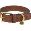 Halsband Hond Nubu Donkerbruin 60cmx40mm XXL -Savic Winkel p11899 vad 15771 halsband hond nubu donkerbruin 60cmx40mm xxl 1