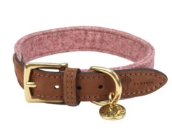 Halsband Hond Blend Roze 30cmx20mm XXS