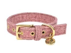 Halsband Hond StØv Roze 50cmx20mm L