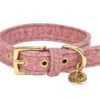 Halsband Hond StØv Roze 30cmx20mm XXS