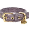 Halsband Hond StØv Donkergrijs 40cmx20mm S -Savic Winkel p11933 vad 15737 halsband hond stv donkergrijs 40cmx20mm s 1