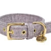 Halsband Hond StØv Lichtgrijs 35cmx20mm XS -Savic Winkel p11944 vad 15729 halsband hond stv lichtgrijs 35cmx20mm xs 1