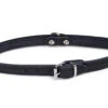 Halsband Geolied Leder Zwart 42cmx16mm M -Savic Winkel p12069 vad 16159 halsband hond geolied leder zwart 42cmx16mm m 1