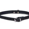 Halsband Geolied Leder Zwart 37cmx14mm S -Savic Winkel p12072 vad 16154 halsband hond geolied leder zwart 37cmx14mm s 1