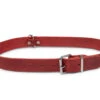 Halsband Geolied Leder Rood 70cmx30mm XXL -Savic Winkel p12075 vad 16182 halsband hond geolied leder rood 70cmx30mm xxl 1