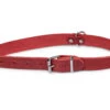 Halsband Geolied Leder Rood 60cmx25mm XL -Savic Winkel p12078 vad 16177 halsband hond geolied leder rood 60cmx25mm xl 1