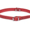 Halsband Geolied Leder Rood 42cmx16mm M