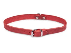 Halsband Geolied Leder Rood 42cmx16mm M