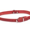 Halsband Geolied Leder Rood 47cmx18mm M-L -Savic Winkel p12085 vad 16167 halsband hond geolied leder rood 47cmx18mm m l 1