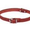 Halsband Geolied Leder Rood 37cmx14mm S -Savic Winkel p12086 vad 16157 halsband hond geolied leder rood 37cmx14mm s 1