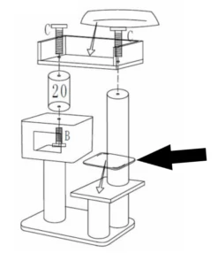 Kussen – Plateau Devon Rex 50×35 – Creme -Savic Winkel p12351 rhr rhr ps rex c kussen plateau devon rex 50x35 creme 1