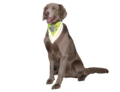 Bandana Reflecterend M- L -Savic Winkel p12907 vad 14439 bandana reflecterend m l 1