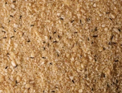 Patee Soft Wit 700g 8 Patee Soft Wit 700g -Savic Winkel p1369 vad 14350 patee soft wit 700g 1