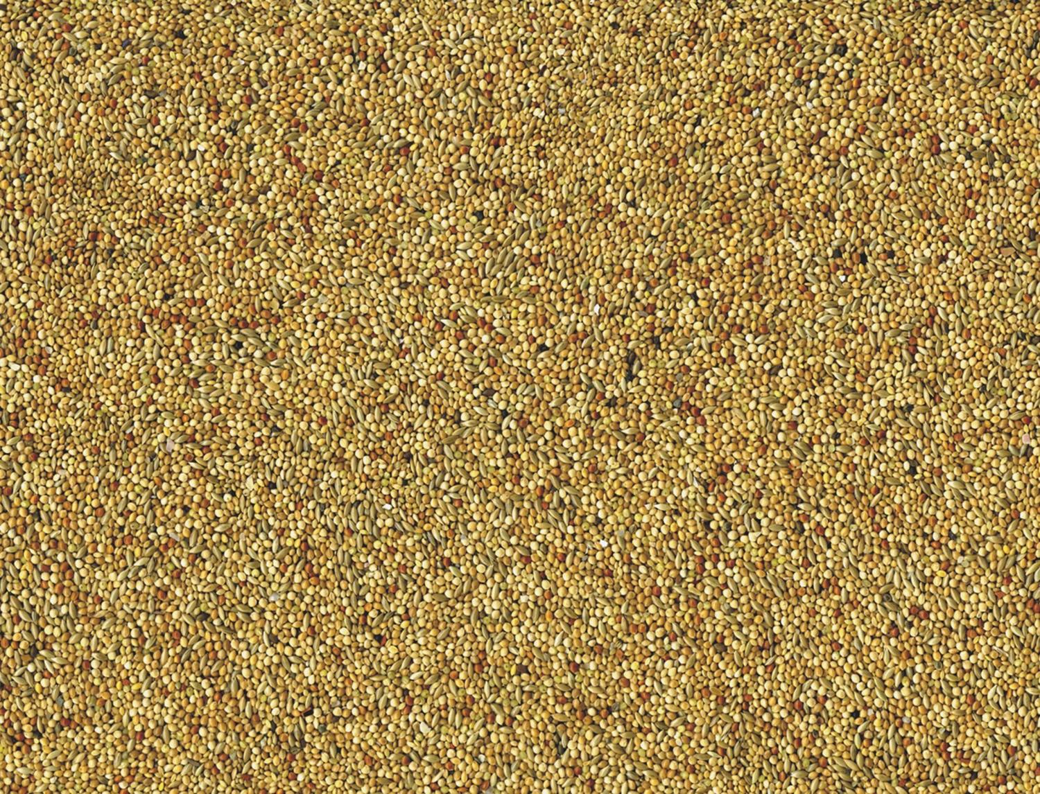 Tropische Vogels Basic 20 Kg 4 Tropische Vogels Basic 20 Kg - Afbeelding 2