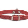Halsband Geolied Leder Rood 27cmx12mm XXS -Savic Winkel p18807 vad 16147 halsband hond geolied leder rood 27cmx12mm xxs 1