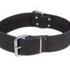 Halsband Large Geolied Leder Zwart 55cmx40mm L -Savic Winkel p18809 vad 16189 halsband large geolied leder zwart 55cmx40mm l 1
