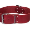 Halsband Large Geolied Leder Rood 65cmx50mm XL -Savic Winkel p18812 vad 16197 halsband large geolied leder rood 65cmx50mm xl 1