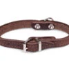 Halsband Geolied Leder Bruin 27cmx12mm XXS -Savic Winkel p18813 vad 16145 halsband hond geolied leder bruin 27cmx12mm xxs 1
