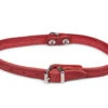 Halsband Geolied Leder Rood 32cmx12mm XS -Savic Winkel p18817 vad 16152 halsband hond geolied leder rood 32cmx12mm xs 1