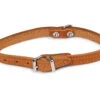Halsband Geolied Leder Cognac 32cmx12mm XS -Savic Winkel p18822 vad 16151 halsband hond geolied leder cognac 32cmx12mm xs 1