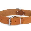 Halsband Large Geolied Leder Cognac 75cmx50mm XXL -Savic Winkel p18825 vad 16201 halsband large geolied leder cognac 75cmx50mm xxl 1