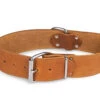 Halsband Large Geolied Leder Cognac 45cmx30mm M-L 1 Halsband Large Geolied Leder Cognac 45cmx30mm M-L -Savic Winkel p18826 vad 16186 halsband large geolied leder cognac 45cmx30mm m l 1