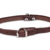 Halsband Geolied Leder Bruin 32cmx12mm XS -Savic Winkel p18830 vad 16150 halsband hond geolied leder bruin 32cmx12mm xs 1