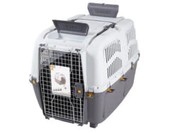 Transport Plastiek Skudo 7 Iata Grijs 105X73X76cm 13 Transport Plastiek Skudo 7 Iata Grijs 105X73X76cm -Savic Winkel p320 vad 13606 transport plastiek skudo 7 iata grijs 105x73x76cm 1