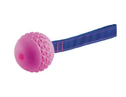 Speelgoed Hond TPR Bal Met Touw Red Frutti 6,3cm