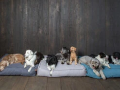 Matras Stargaze Silver Spoon 120x90cm -Savic Winkel p354 vad 14649 matras stargaze silver spoon 120x90cm 1