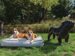 Matras Stargaze Silver Spoon 120x90cm -Savic Winkel p355 vad 14649 matras stargaze silver spoon 120x90cm 1