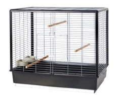 Savic Kooi Vogel Noah Knock Down Zwart 80x50x70cm