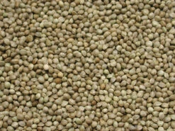 Kempzaad Monster Vissers 800 Gr