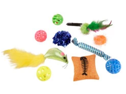 Speelgoed Kat Party (10)