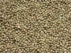 Kempzaad Monster Vissers 15 Kg