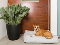 ORI Matras Stargaze Silver Spoon 100X70cm 8 ORI Matras Stargaze Silver Spoon 100X70cm -Savic Winkel p518 vad 14643 matras stargaze silver spoon 100x70cm 1