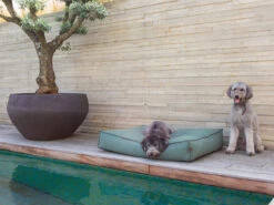 ORI Matras Stargaze Cosmic Blue 100x70cm -Savic Winkel p5238 vad 14647 matras stargaze cosmic blue 100x70cm 1