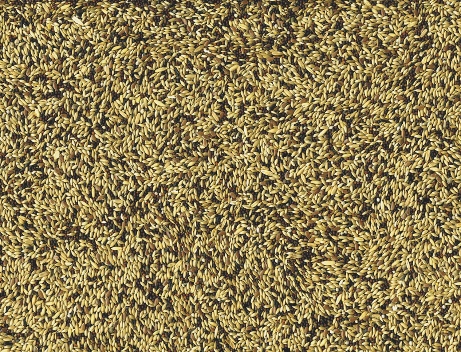 Kanaries Original 20 Kg 7 Kanaries Original 20 Kg - Afbeelding 5