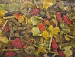 VDG Premium Chinchilla 12,5 Kg