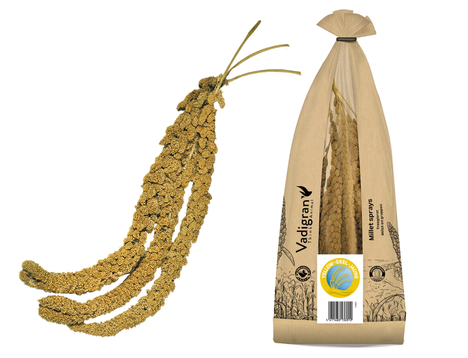 Franse Trosgierst Geel 400g 5 Franse Trosgierst Geel 400g - Afbeelding 3