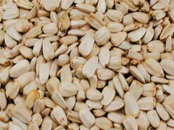 Grote Witte Zonnebloempitten 10 Kg
