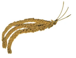 Franse Trosgierst Geel Anijs 400g